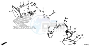 NSS125DF Forza 125 - NSS125D Europe Direct - (ED) drawing FRONT WINKER