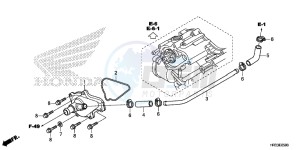 TRX420FA2E TRX420 Europe Direct - (ED) drawing WATER PUMP COVER