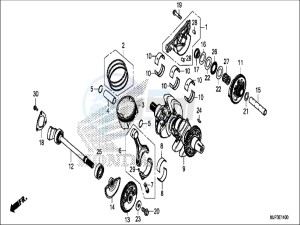 CRF1000DH 2ED - (2ED) drawing CRANKSHAFT/PISTON