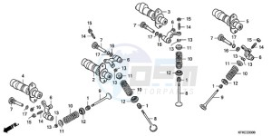 VTR2509 France - (F / CMF LL MK) drawing CAMSHAFT/VALVE