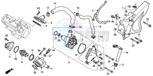 CB1100SF drawing WATER PUMP