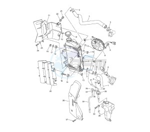 WR X 250 drawing RADIATOR AND HOSE