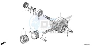 MSX125AH Europe Direct - (ED) drawing CRANKSHAFT/ PI STON