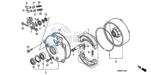 TRX250TMA U drawing REAR BRAKE DRUM