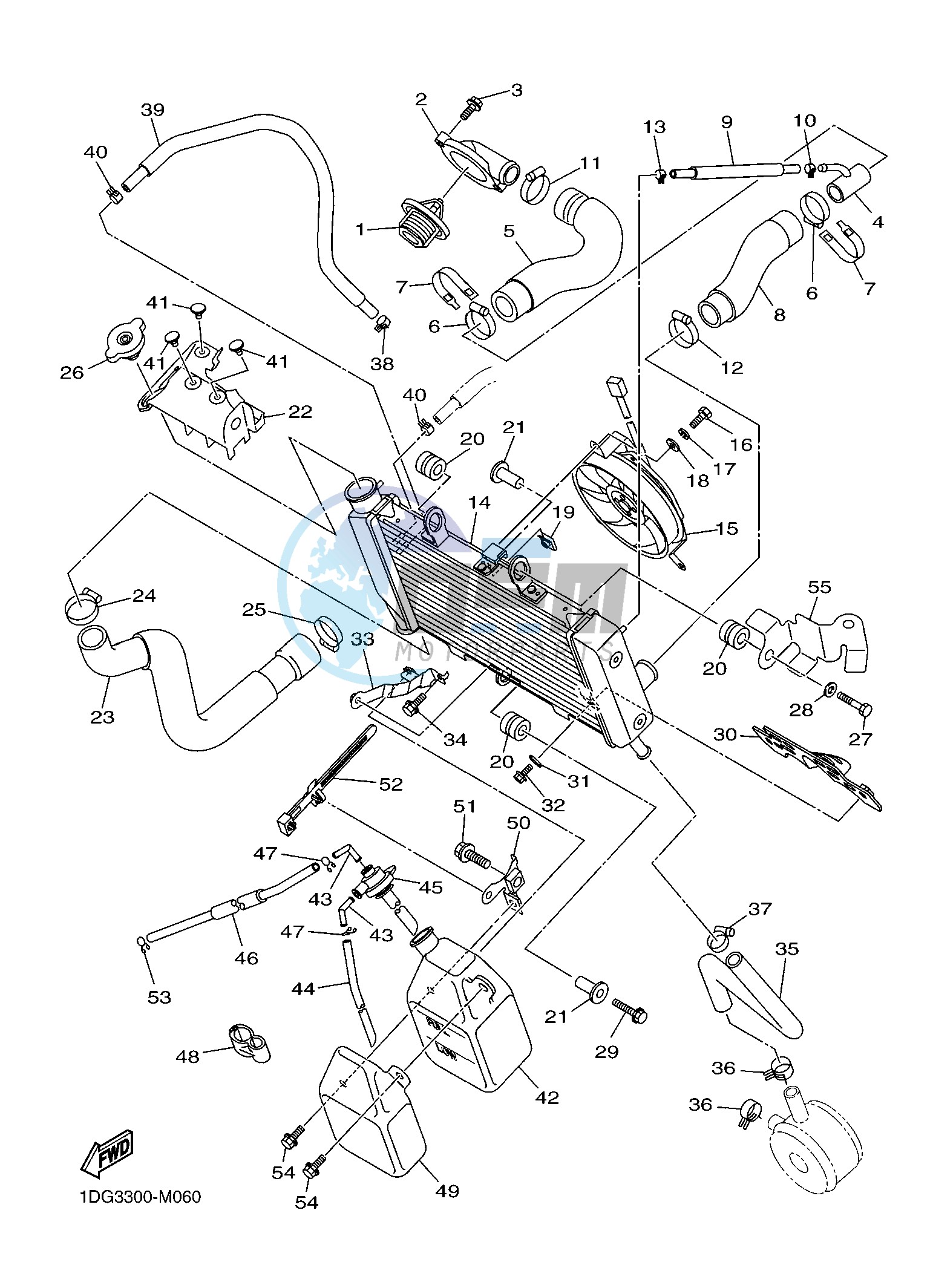 RADIATOR & HOSE