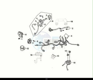 FIDDLE II 50 (AF05W5-NL) (E5) (M1) drawing WIRE HARNESS