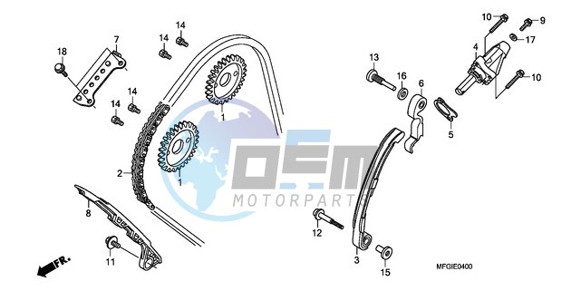 CAM CHAIN/TENSIONER