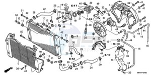 CB1000RA France - (F / CMF) drawing RADIATOR