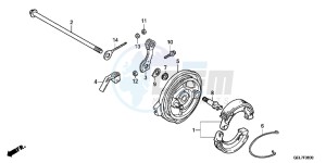 CRF50FD CRF50F Europe Direct - (ED) drawing REAR BRAKE PANEL