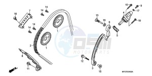 CB600F39 France - (F / CMF ST 25K) drawing CAM CHAIN/TENSIONER