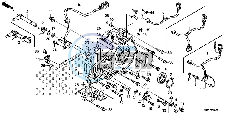 REAR CRANKCASE COVER