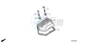 CRF100FB drawing CYLINDER HEAD COVER