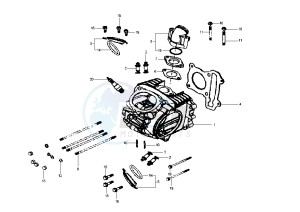 SHARK - 125 cc drawing CYLINDER HEAD