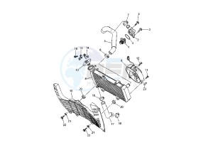 XT R 660 drawing RADIATOR - HOSE