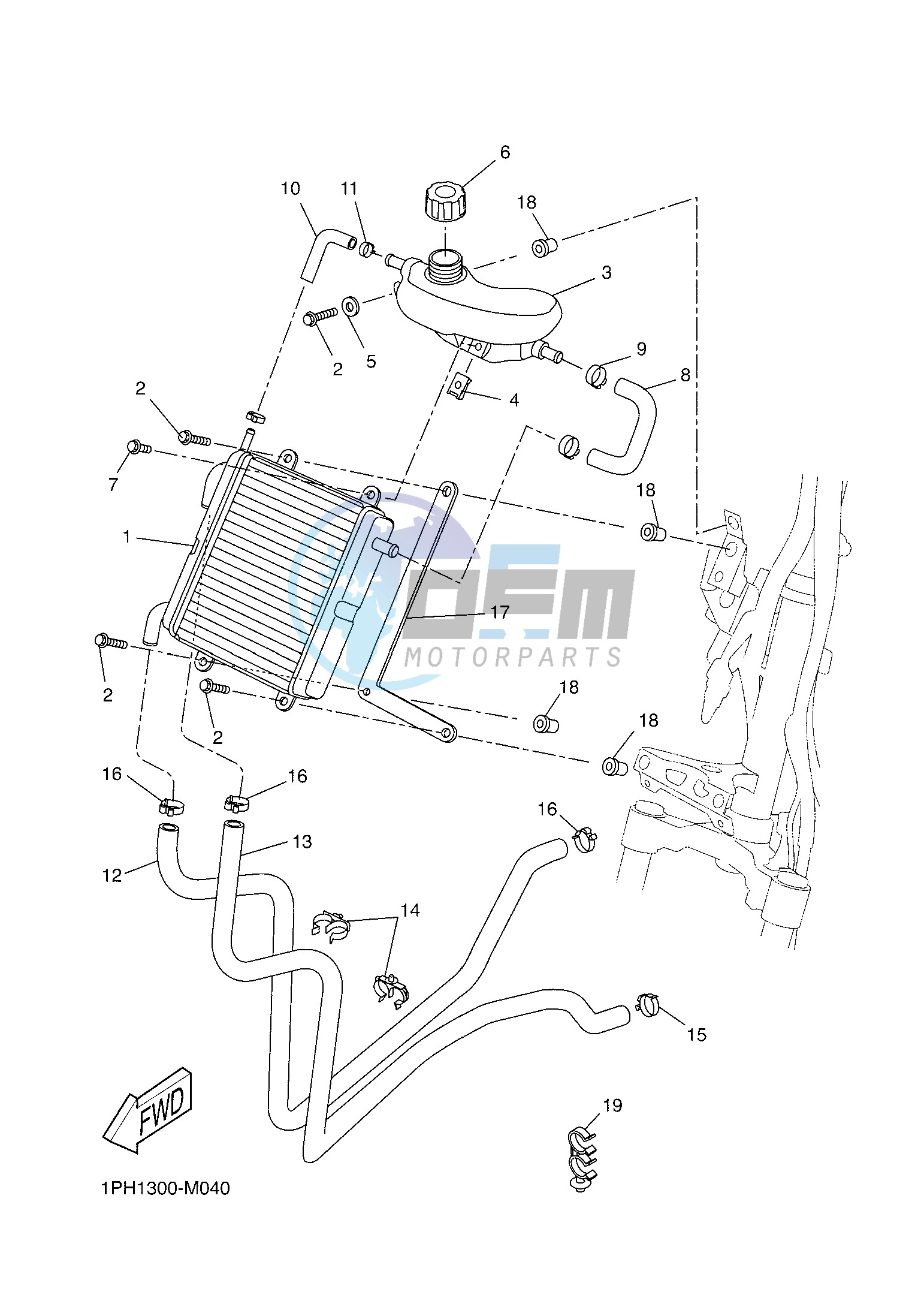 RADIATOR & HOSE