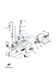 F100AETL drawing PROPELLER-HOUSING-AND-TRANSMISSION-2