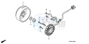 CBR125RW9 Australia - (U) drawing GENERATOR