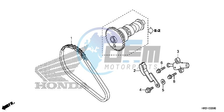 CAM CHAIN/TENSIONER