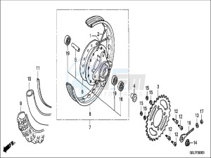 CRF50FH Europe Direct - (ED) drawing REAR WHEEL