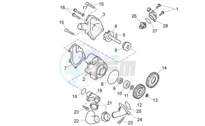 Pegaso Strada-Trail 650 ie drawing Water pump