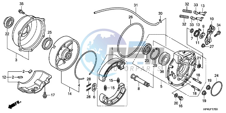 REAR BRAKE PANEL