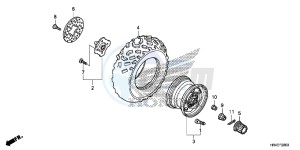 TRX500FM1G TRX500 Europe Direct - (ED) drawing FRONT WHEEL