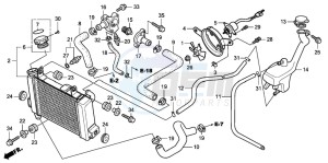 CBR125R drawing RADIATOR (CBR125R/RS/RW5/RW6/RW8)