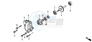 CR80RB drawing WATER PUMP