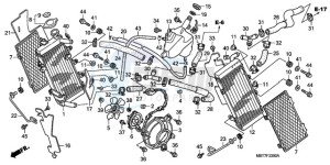 XL1000VA9 France - (F / ABS CMF) drawing RADIATOR