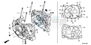 TRX420FPMB drawing CRANKCASE