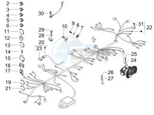 Nexus 250 SP e3 drawing Main cable harness