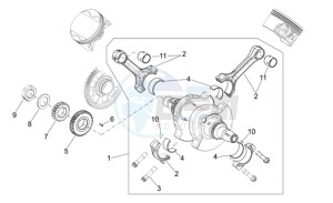 Shiver 750 drawing Drive shaft