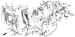 VTX1800C1 drawing RADIATOR (VTX1800C2/3/4)