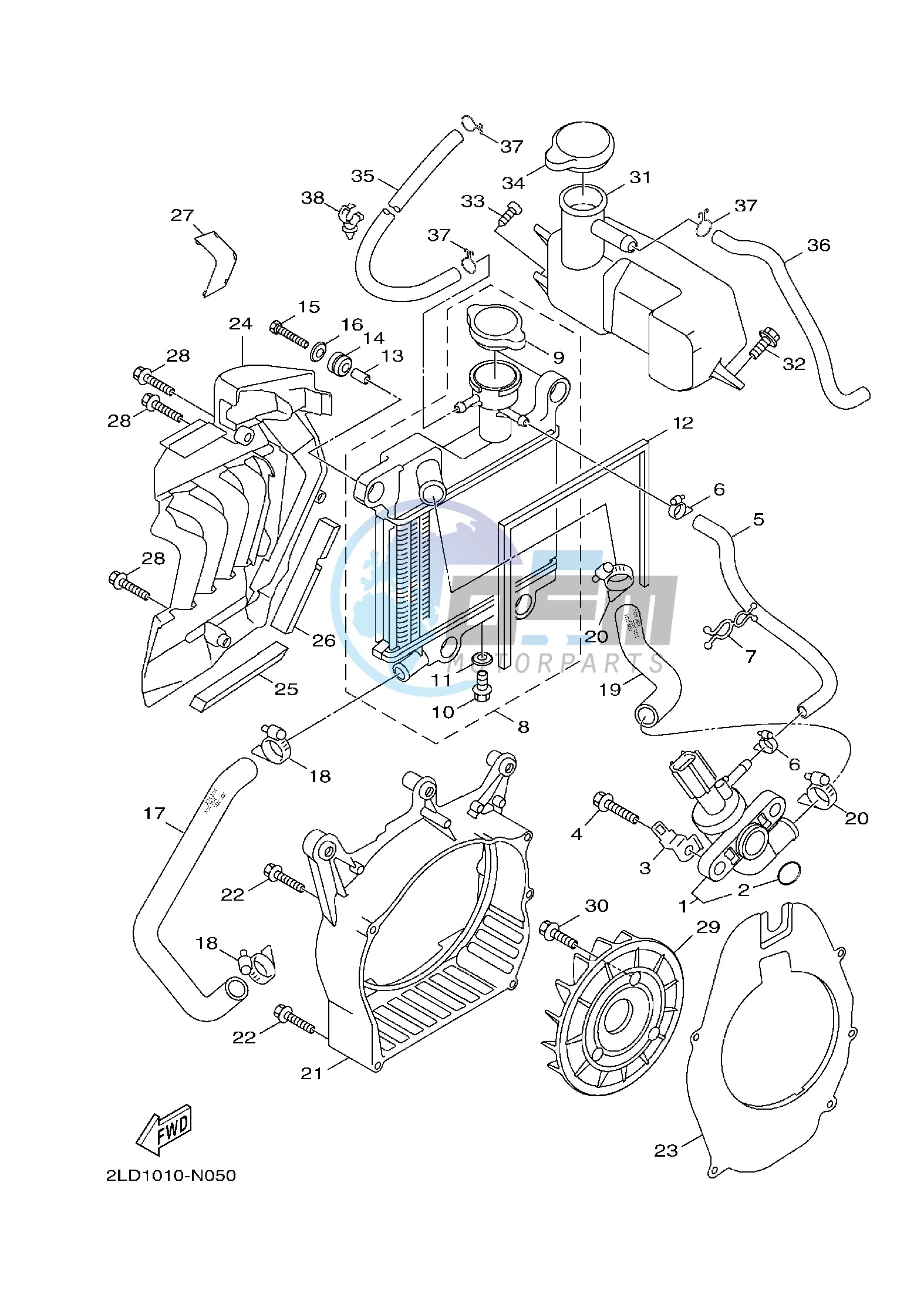 RADIATOR & HOSE