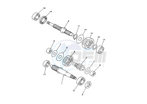 XC VERSITY 300 drawing GEAR GROUP