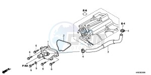 TRX500FEC drawing WATER PUMP COVER