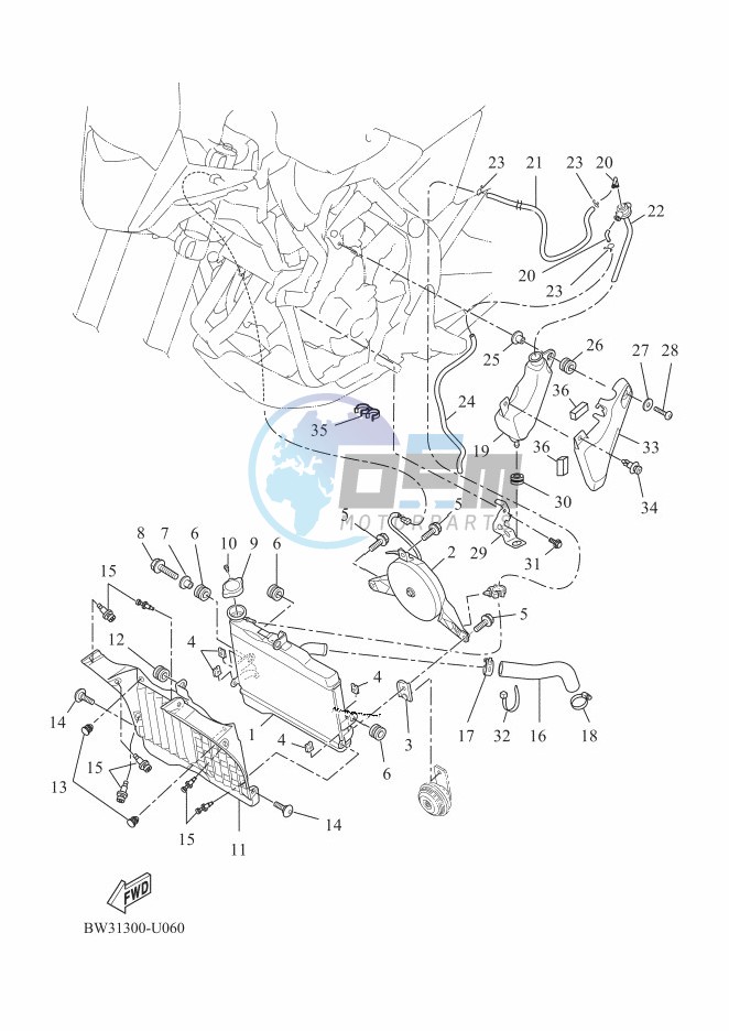 RADIATOR & HOSE