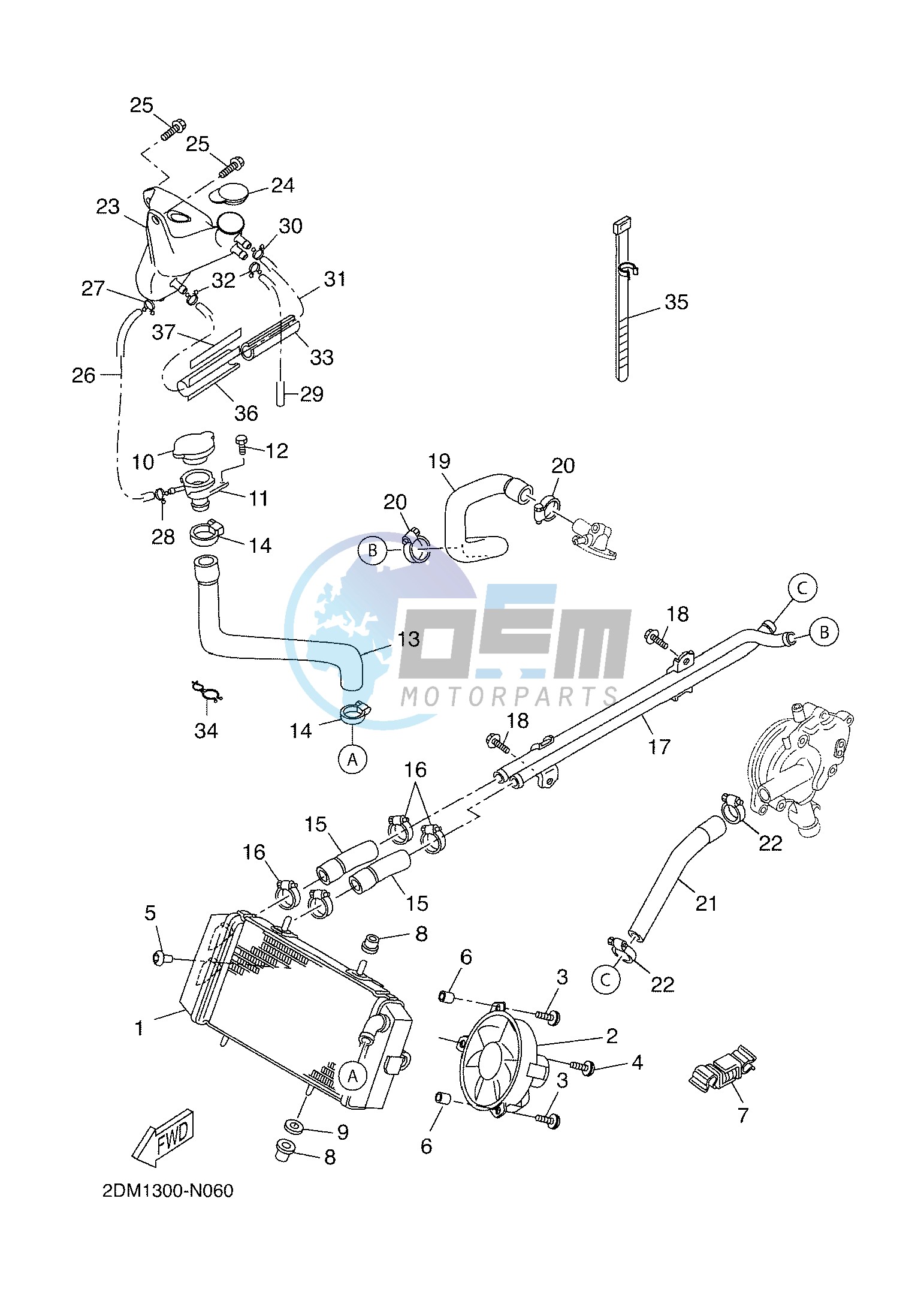 RADIATOR & HOSE