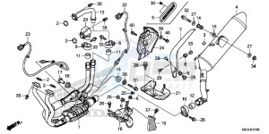 VFR1200X Europe Direct - (ED) drawing EXHAUST MUFFLER