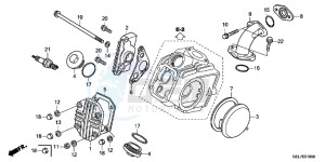 CRF50FC drawing CYLINDER HEAD COVER