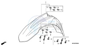 CRF450RB drawing FRONT FENDER