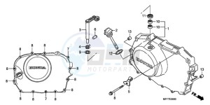 XL700V9 Europe Direct - (ED / SPC) drawing RIGHT CRANKCASE COVER