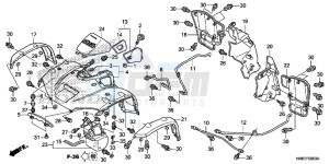 TRX680FAF TRX680 Europe Direct - (ED) drawing FRONT FENDER