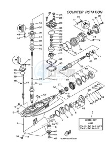 LZ250DETOX drawing LOWER-CASING-x-DRIVE-3