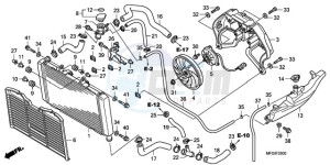 CB600F3A France - (F / CMF ST 25K) drawing RADIATOR