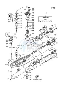 Z250DETOX drawing LOWER-CASING-x-DRIVE-1