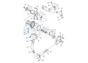 YZF R1 1000 drawing WATER PUMP