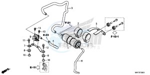 CBR1000S2 2ED - (2ED) drawing CANISTER