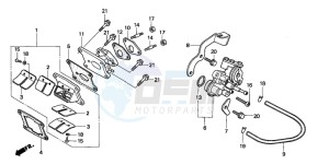 NSR50F drawing OIL PUMP