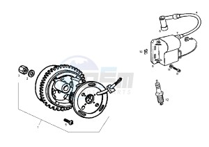 GPR RACING - 50 cc drawing FLYWHEEL